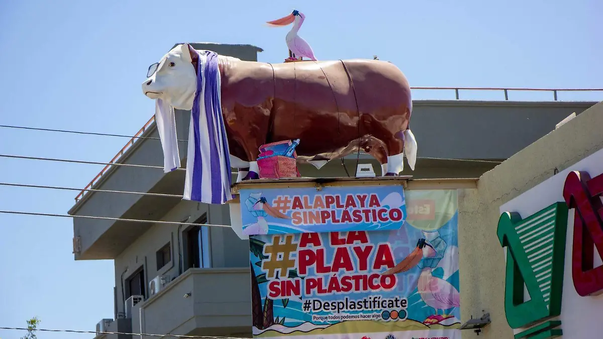 Vaquita del aramburo desplastificate 1